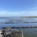 Ang high-density polyethylene oyster bag floats